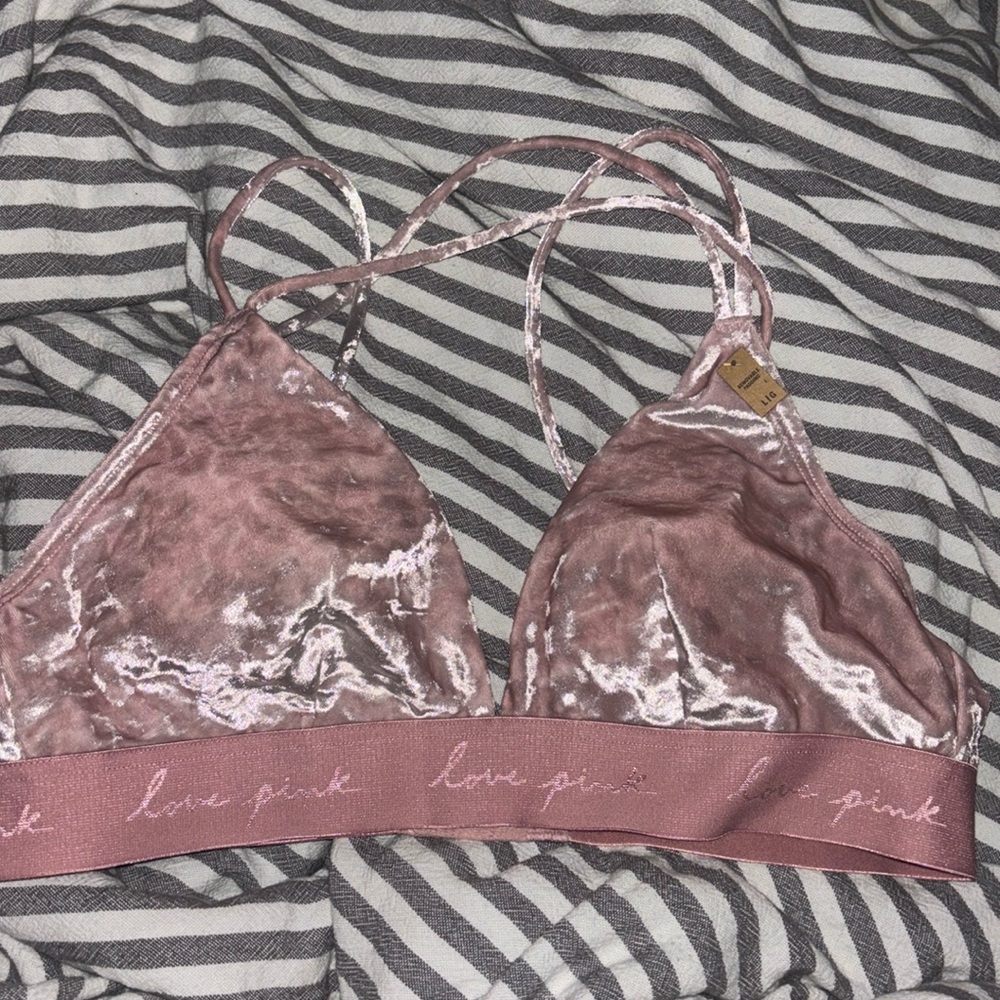 Pink velvet bralette 
Size large 
Still has tags